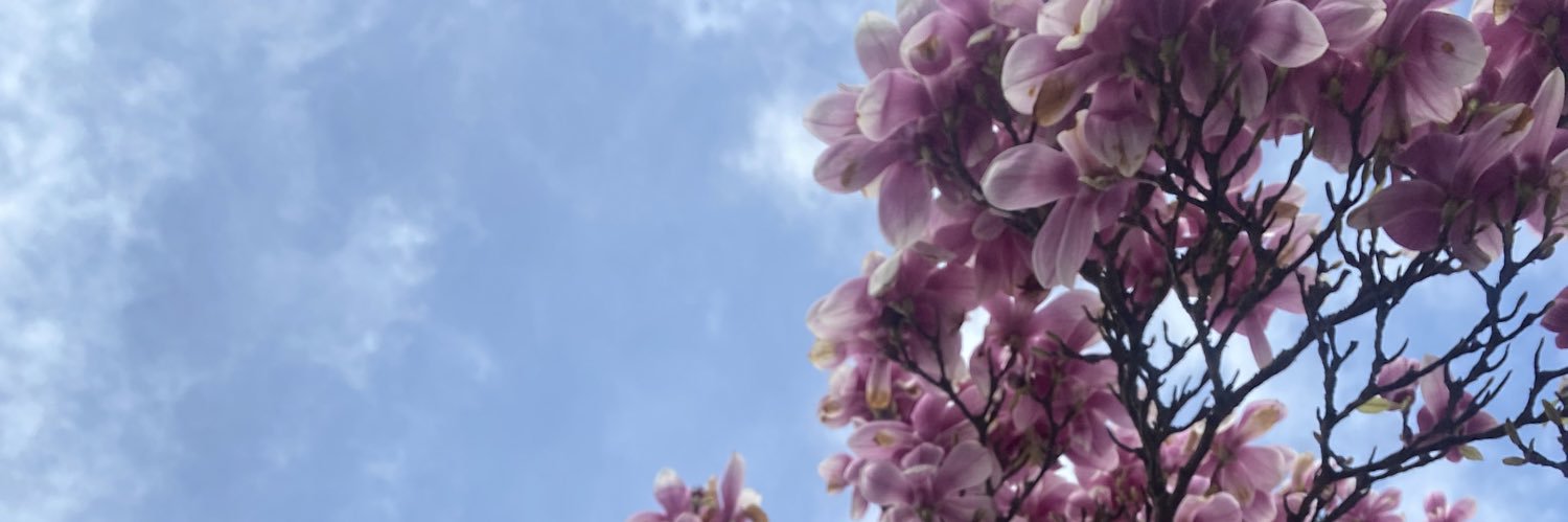 charlstraw's profile banner image