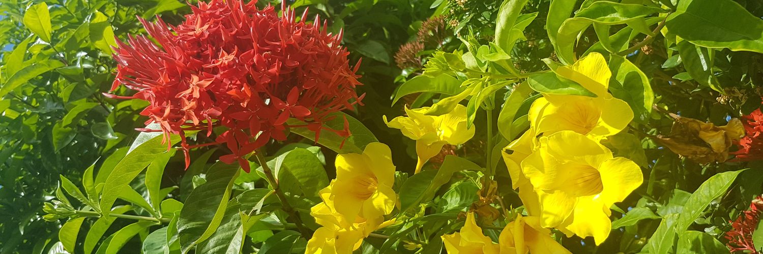 JEFFGIBERT's profile banner image