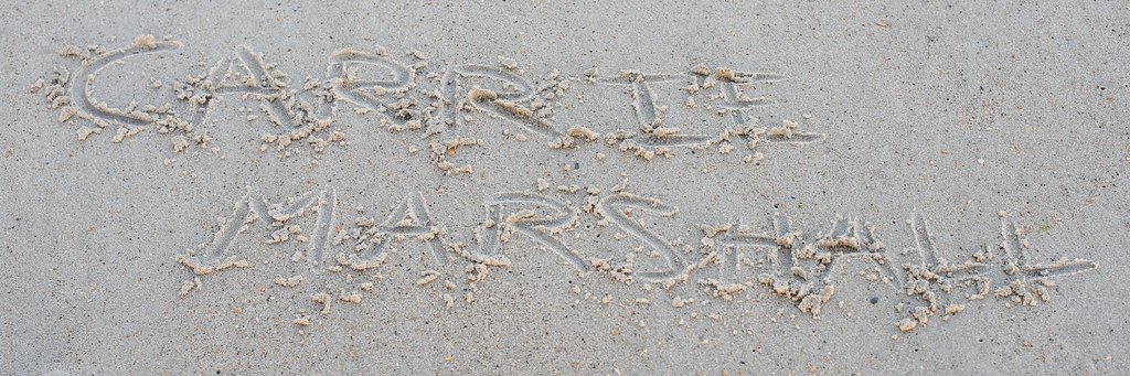 carriemarshall's profile banner image