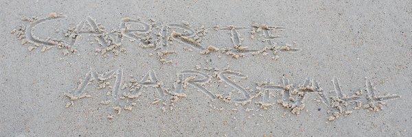 carriemarshall Profile Banner