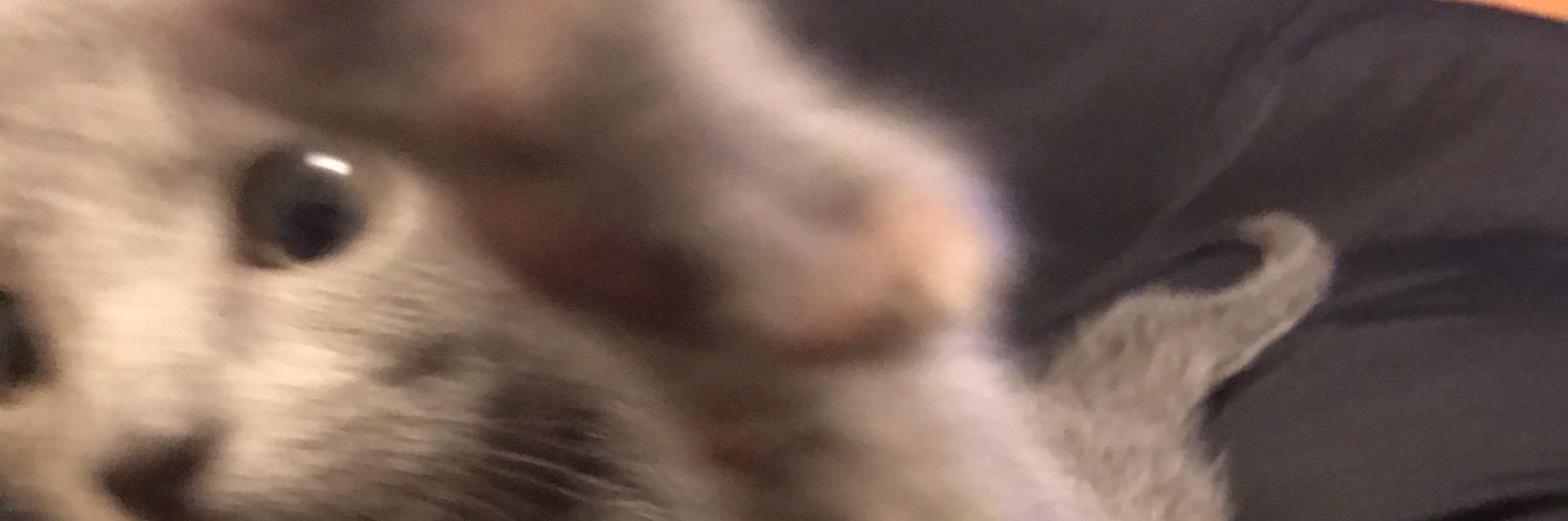 umashiko's profile banner image