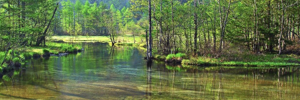 じゃっかる banner