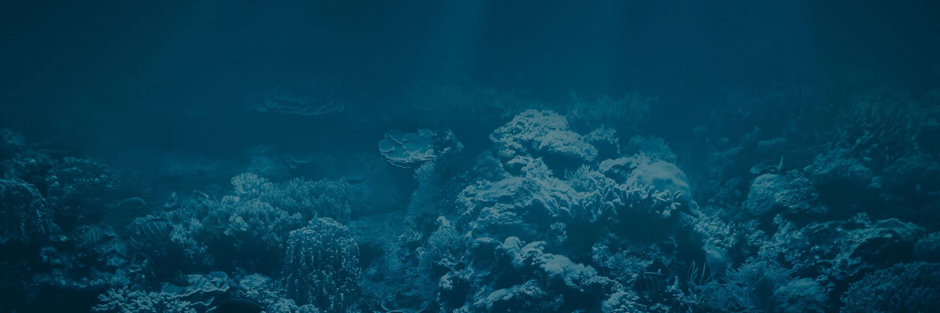 deepoceancap's profile banner image