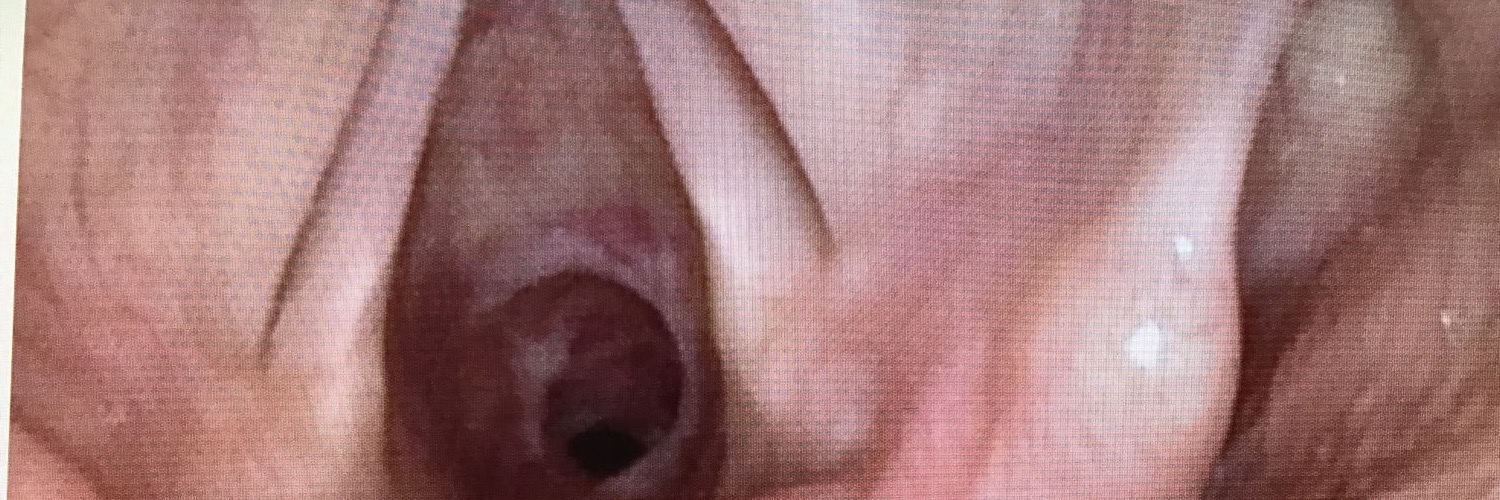 Jeremycusa's profile banner image