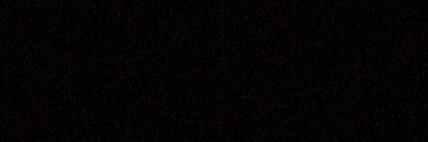 ladijance banner