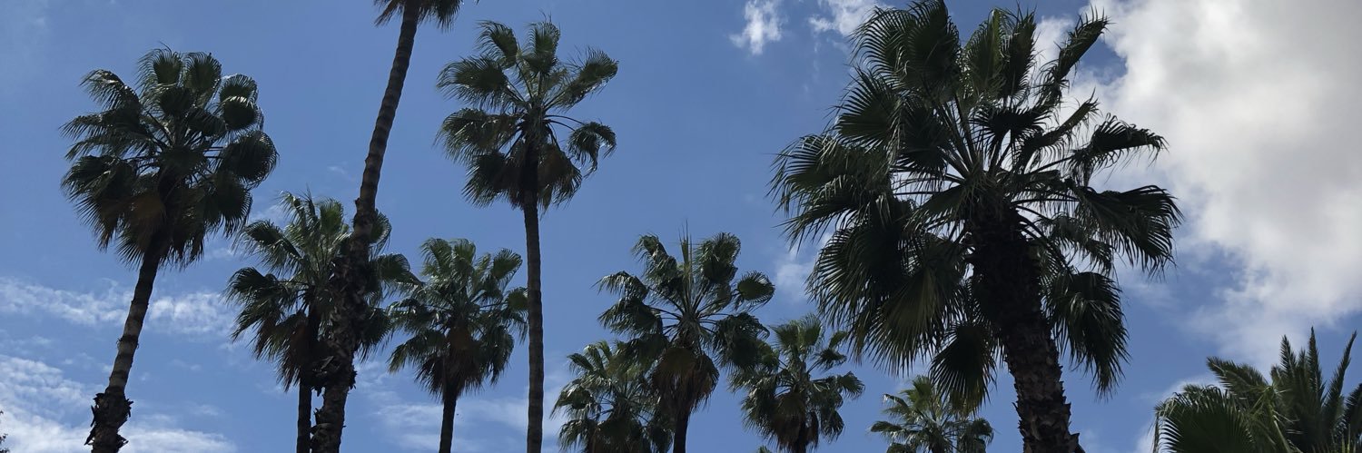 StephJHammond's profile banner image