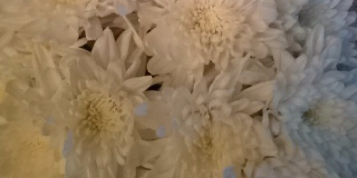 KatrinaGriggs's profile banner image