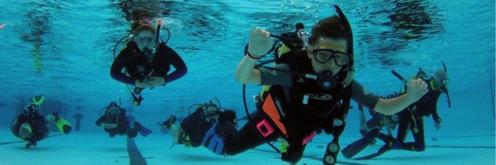 Seastyle Diving banner