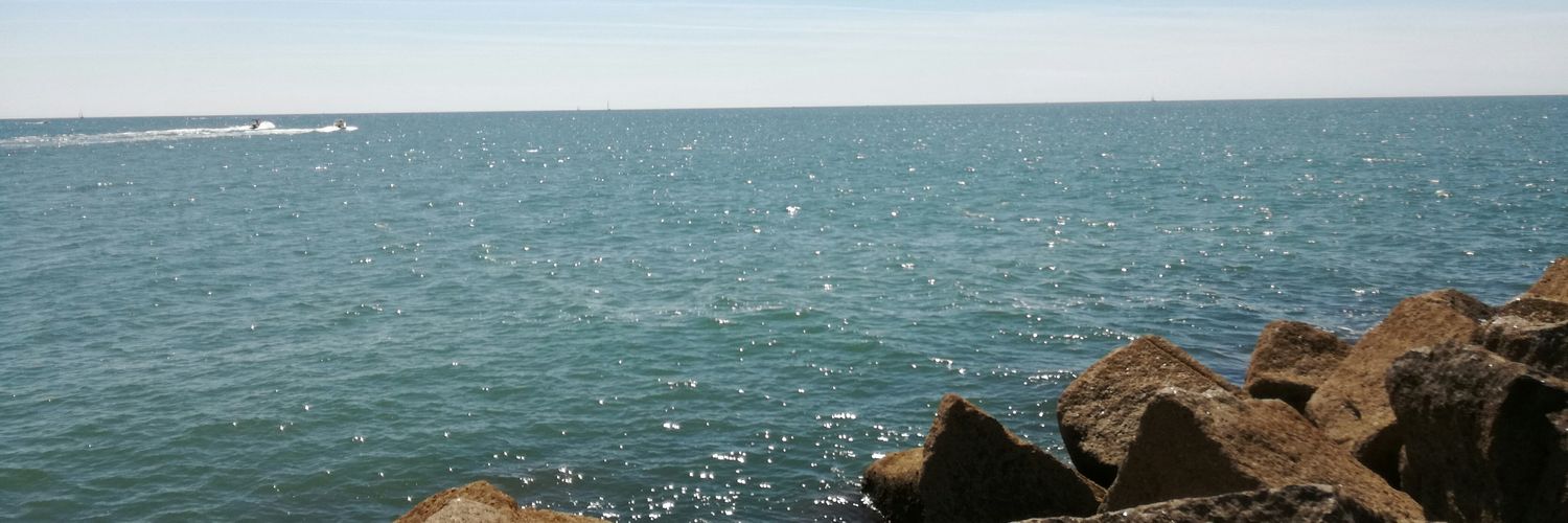 ocarecaon's profile banner image