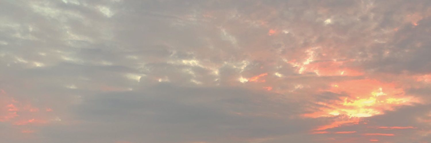 fiilimsiler's profile banner image