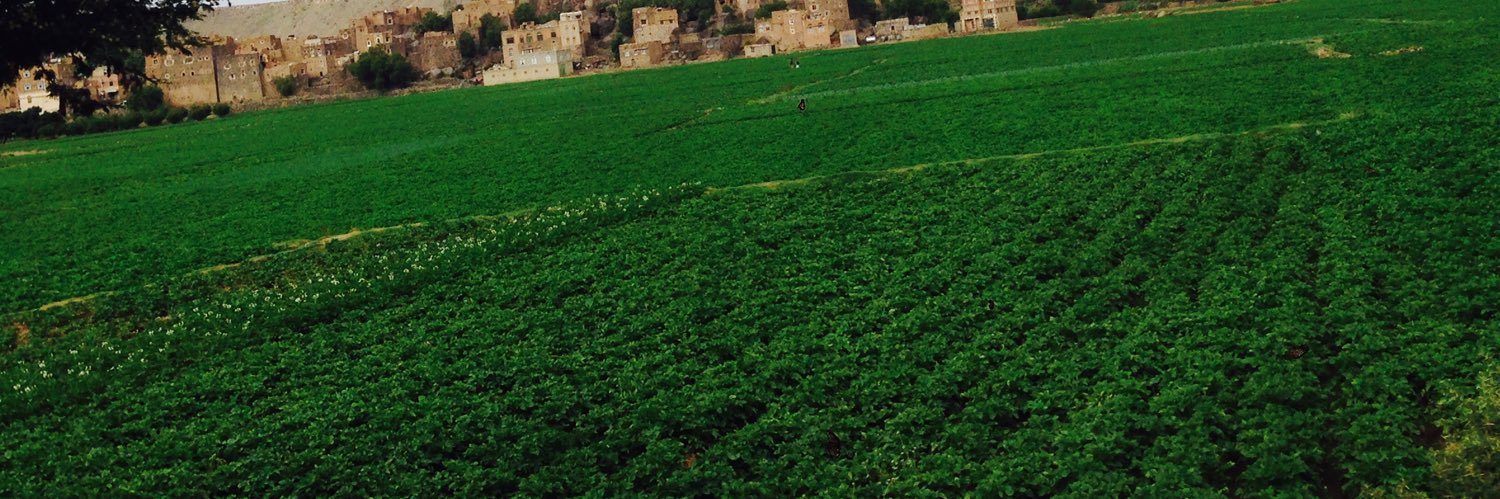 dhafer_mohammed's profile banner image