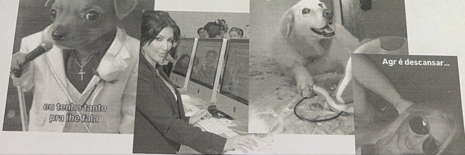 carlaehlert's profile banner image
