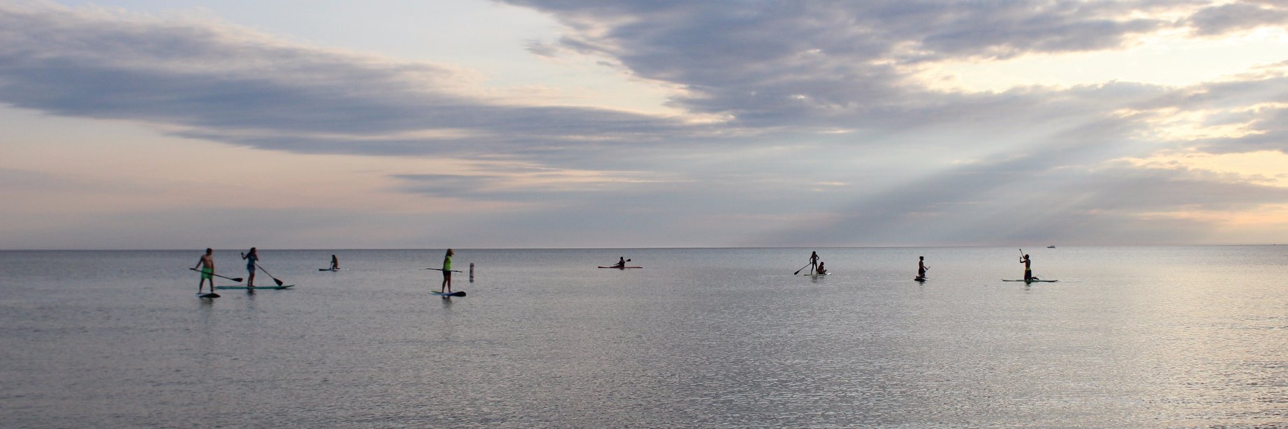 WetMittenSurf's profile banner image