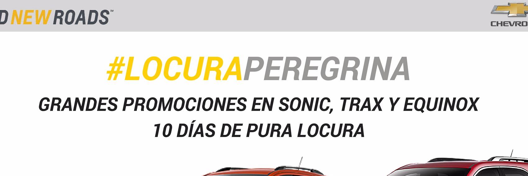 peregrinacentro's profile banner image