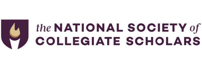NSCSLSU's profile banner image