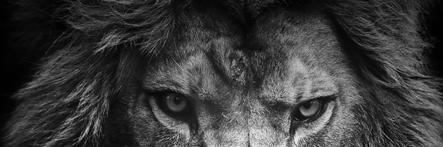 B_Jamali's profile banner image