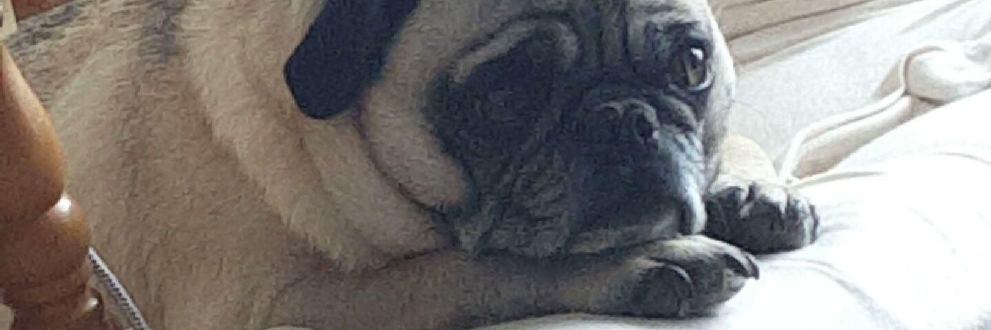nickklimek54's profile banner image