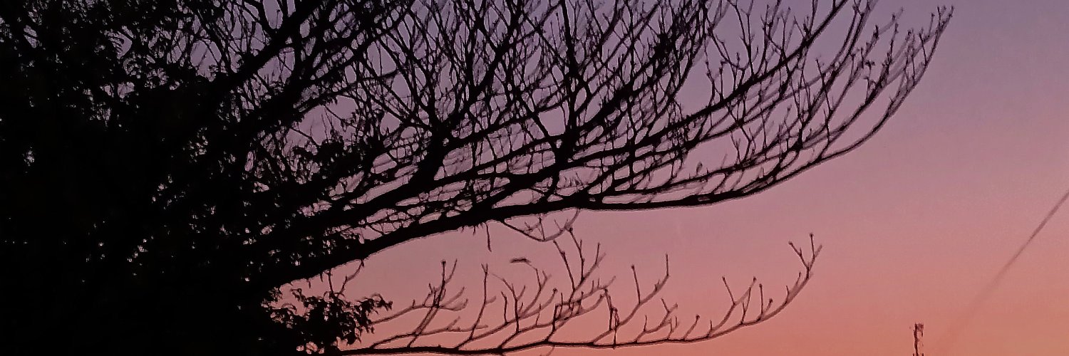 Mel_Balter's profile banner image