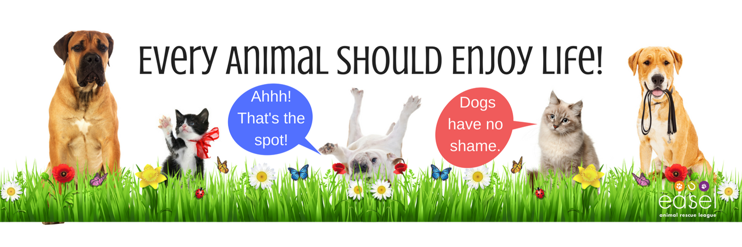 EASEL NJ (easelnj) / Twitter