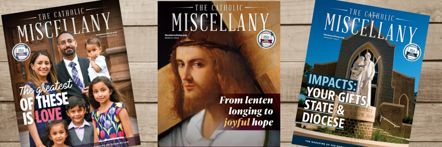 the_miscellany's profile banner image