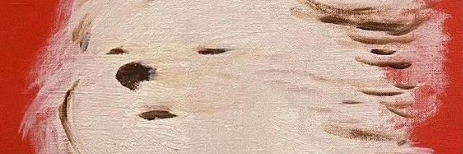 Andrew Sowa banner