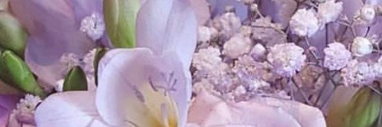 Inane__sd's profile banner image