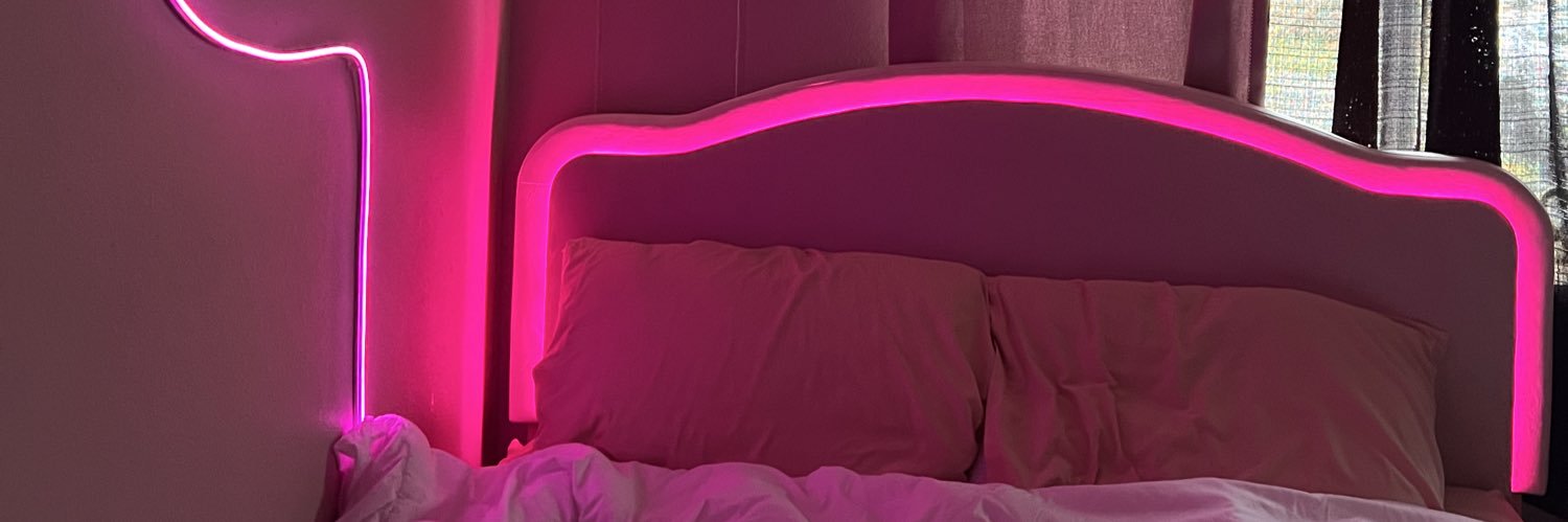 tinychaosbree's profile banner image