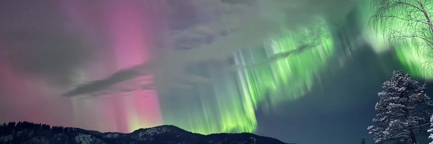 nilufer_vik banner