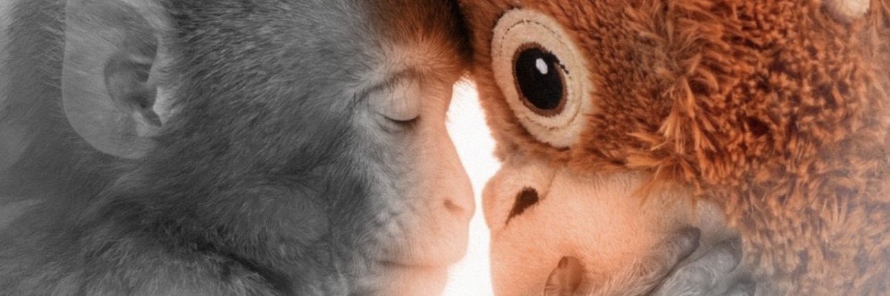 パンチくん banner