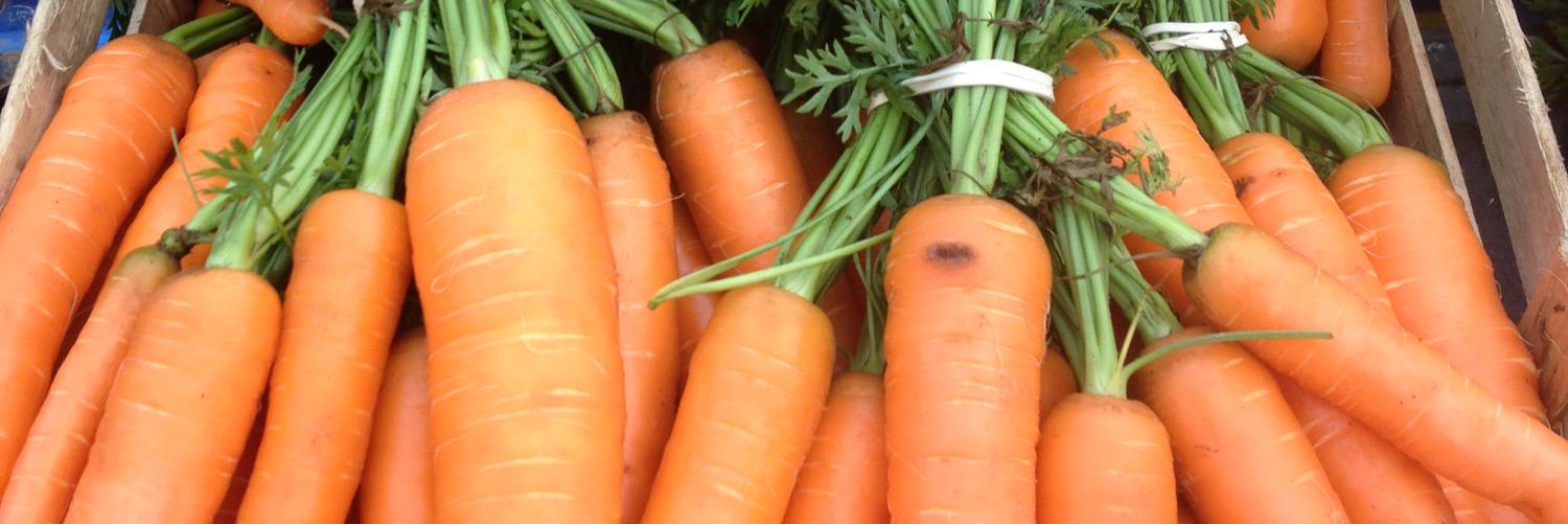 shopgreenfields's profile banner image