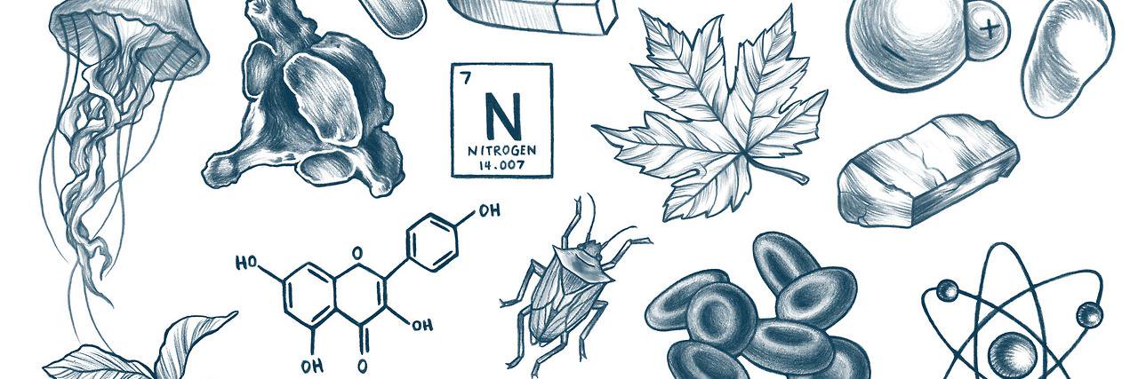eNatureLover7's profile banner image