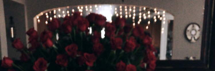 angelrharp's profile banner image