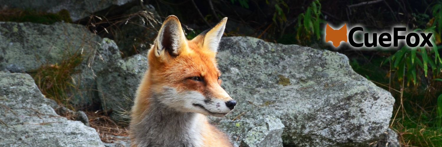 CueFoxCreative's profile banner image