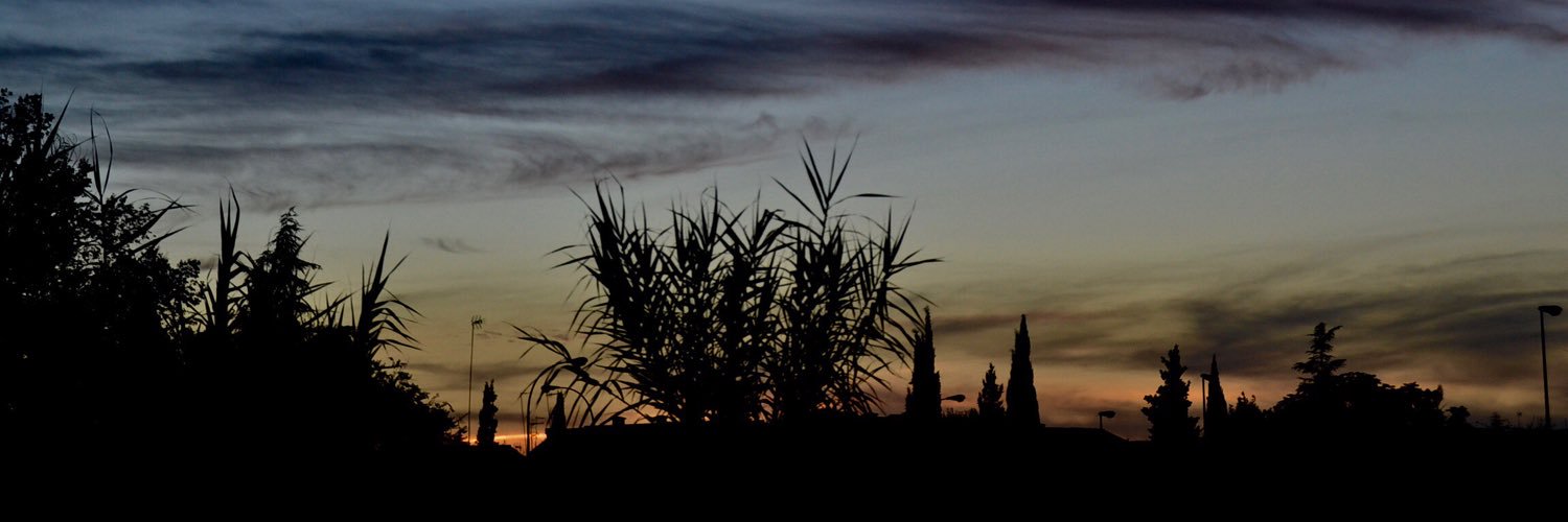 LauMaye's profile banner image