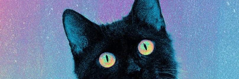 JalonTheGinger's profile banner image