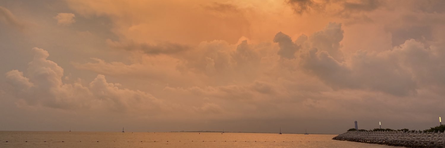 Litempo banner