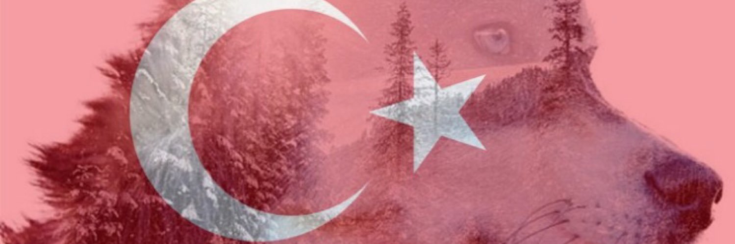 BBULUTOGLU's profile banner image