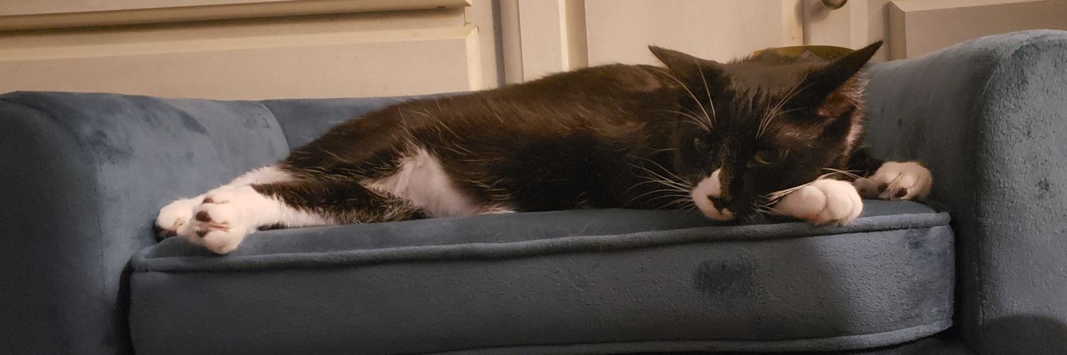 TroubleConnor's profile banner image