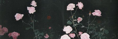 sari_arist's profile banner image
