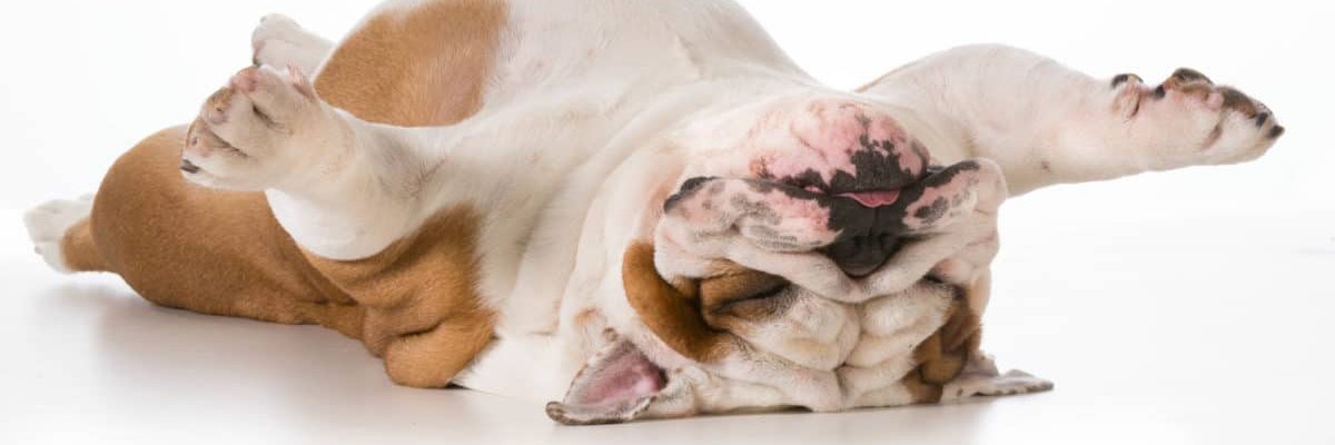emmazapan's profile banner image