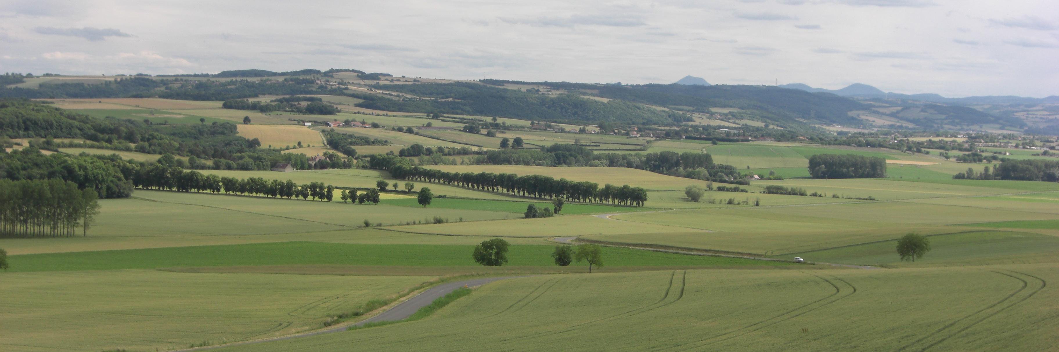 Patrice Bonnin banner