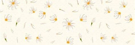 EspeDorado's profile banner image
