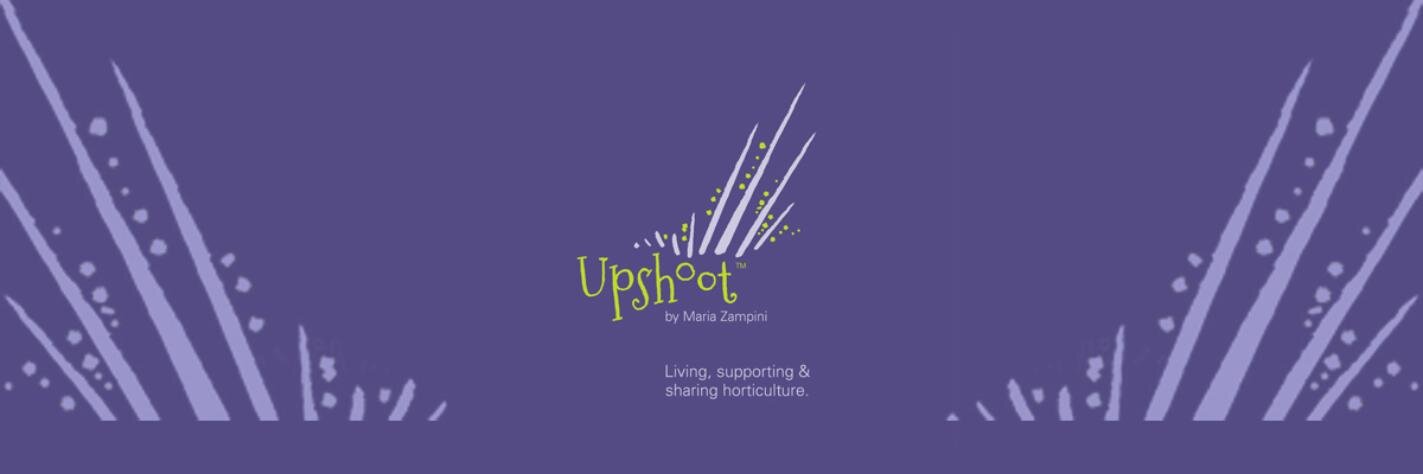 Maria Zampini banner