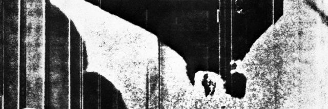scaredscarab418's profile banner image