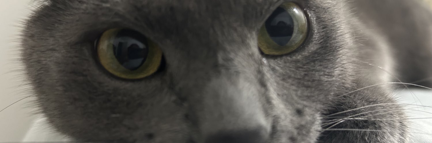Seg0w_'s profile banner image
