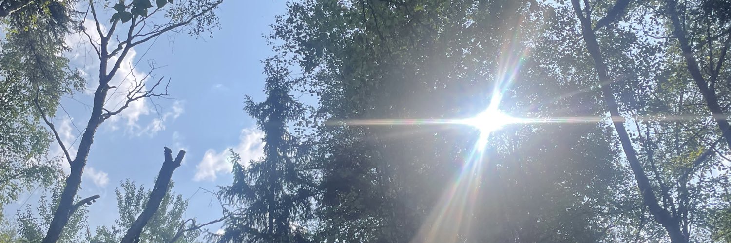 laauur_'s profile banner image