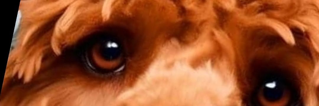MT_Smart's profile banner image