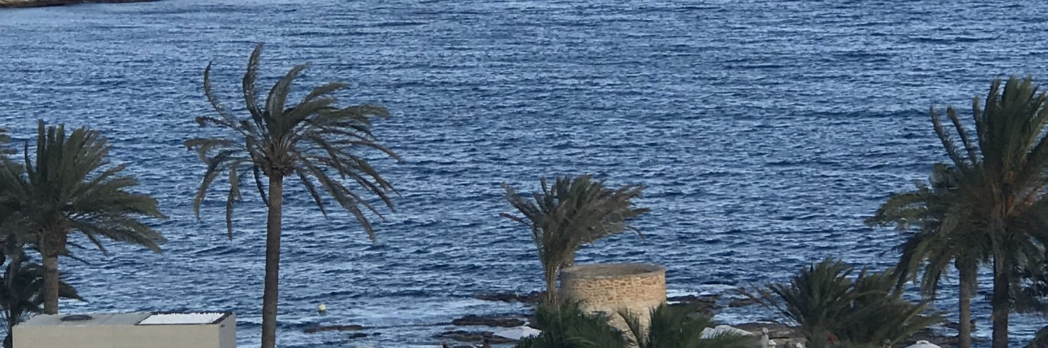 albatrosdivit's profile banner image