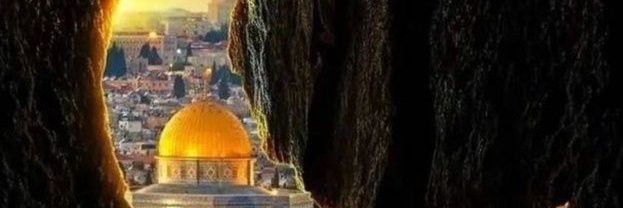 fatma_seyitoglu's profile banner image