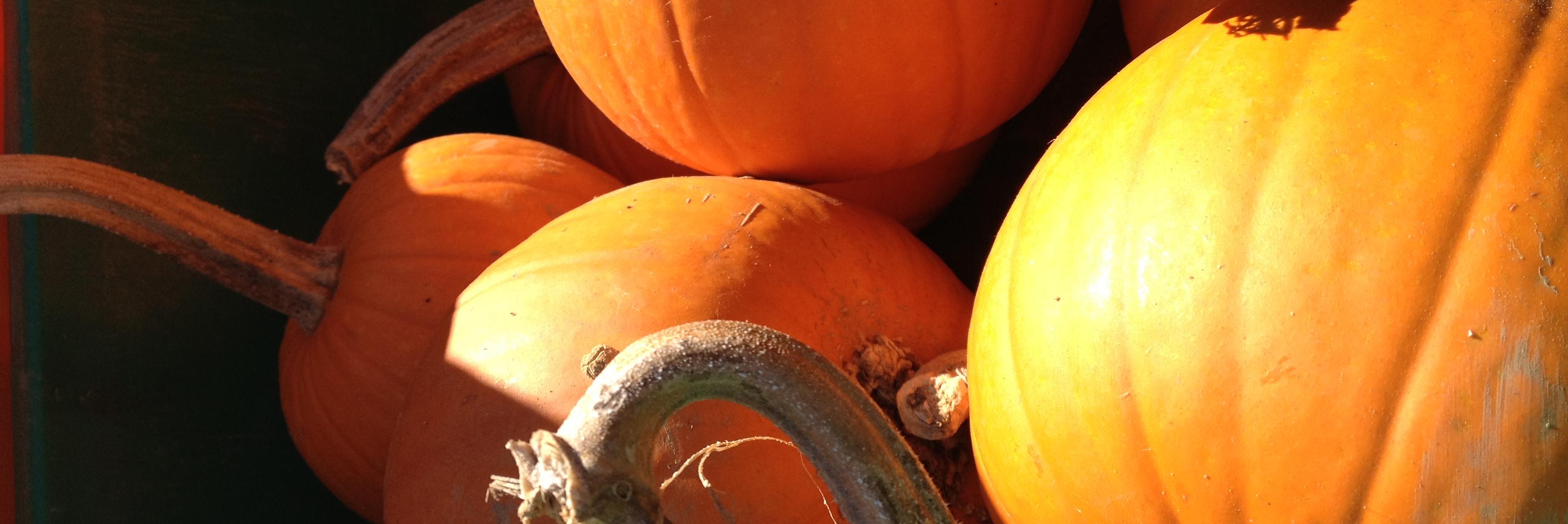 BPM PumpKING (@BPMpumpking) / Posts / X